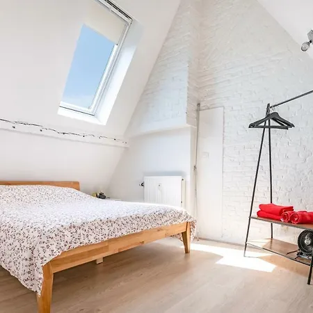 Les Cerisiers - De Standing Au Centre De アパート